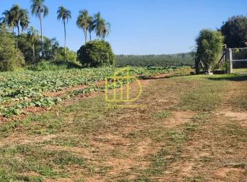 Rural · 10m² · 3 Quartos - L4S - PREMIER 4 · Fazenda / Sítio para venda em Cercado de 10.00m² com 3 Quartos