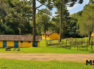 Rural · 45000m² · 6 Quartos · 10 Vagas · VENDE CHÁCARA | ROÇA VELHA | SÃO JOSÉ DOS PINHAIS