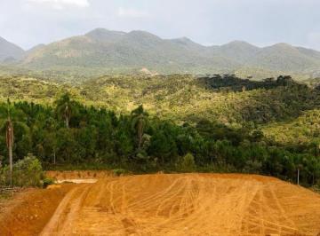 Rural , Quatro Barras · Chácara de 20.000m² com matrícula individual à venda em Quatro Barras