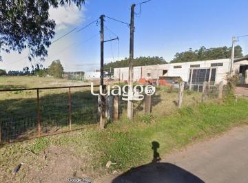 Terreno · 4m² · Excelente Terreno com 40mil m² no município de Glorinha