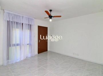 Apartamento · 40m² · 1 Quarto · Apartamento para Venda - 40m², 1 dormitório, Morro Santana