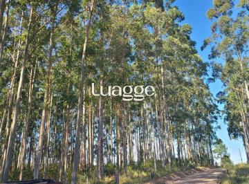 Terreno · Ampla Área em Viamão – 18,5 Hectares de Potencial