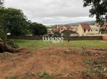 .jpg+2025-03-04 · Terreno para Venda - 0m², 0 dormitórios, Campo Novo
