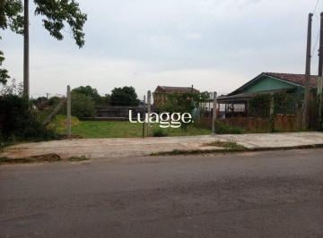 Terreno · 396m² · Terreno 396m² Bairro Vista Alegre