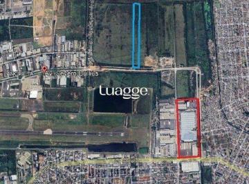 Terreno · 60000m² · Terreno à venda - em Anchieta