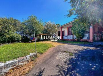 Terreno · 1045m² · Terreno à venda - em Tristeza