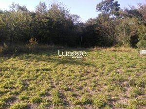 Terreno · 800m² · Terreno à venda - na Ponta Grossa