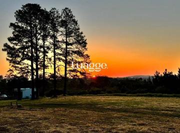 Rural · 5000ha · 2 Quartos · sitio lazer Manoel Santana(BRANQUINHA)1/5ha,casa alvenaria 80m2 3dorm