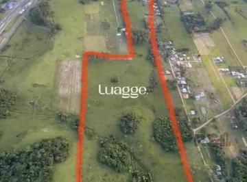 Terreno · 17000m² · Terreno à venda - no Centro