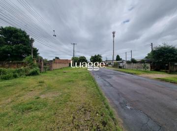 Terreno · 4500m² · Terreno Estrada Ponta Grossa com 4.500 metros