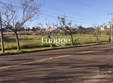 Terreno · 4704m² · Amplo terreno com 4.704m²