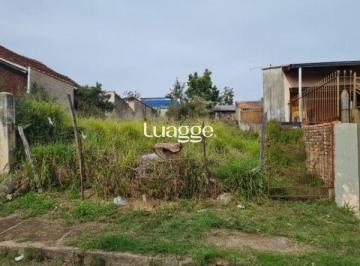 .jpg+2025-03-04 · Terreno para Venda 299m², Tristeza