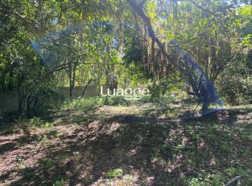 Terreno · 9750m² · Excelente terreno!