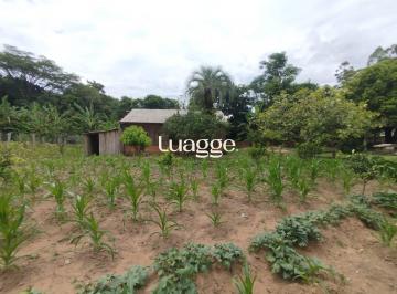 Rural · 3853m² · 3 Quartos · 3 Vagas · Chácara no bairro Restinga