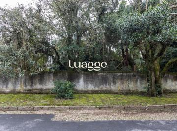 Terreno · 316m² · Terreno à venda - em Espírito Santo