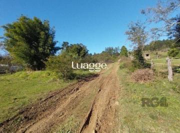 Terreno · 5000m² · Area para Venda - 0m², 0 dormitórios, Lami
