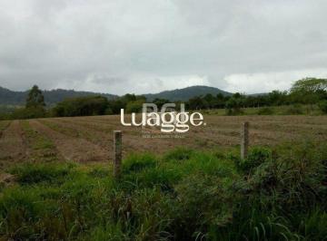 Terreno · 20060m² · Sítio para Venda - 20060m² Zona Sul Lami