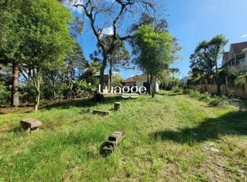 Terreno · 4452m² · Terreno para Venda - 4.452m Bairro Jardim Isabel