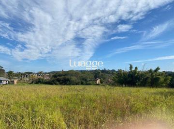 Terreno · 8865m² · Terreno para Venda - 8865m², 0 dormitórios, Boa Vista do Sul, Porto Alegre