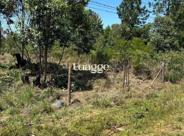 Terreno · 616m² · Terreno à venda - no Lageado