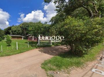 Rural · 4300ha · Excelente Sitio na Vila Nova