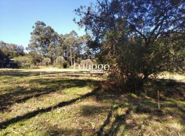 Terreno · 2500m² · Terreno para Venda - 0m², 0 dormitórios, Central