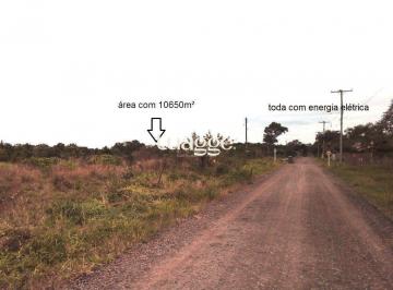 Terreno · 10650m² · Area para Venda - 10650m², 0 dormitórios, Balneário Atlântico
