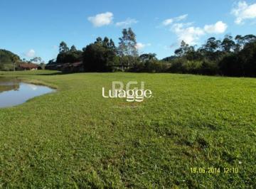 Terreno · 35000m² · Area para Venda - 35000m², 0 dormitórios, Centro