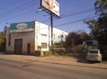 Terreno · 2500m² · 🏗 EXCELENTE TERRENO NA BR-116 EM ESTEIO – 2.500 m² 🚀