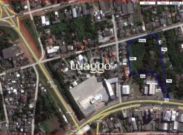 Terreno · 8000m² · Terreno para Venda - 8000m², São Geraldo