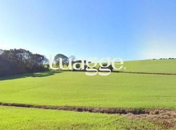 Terreno · 400000m² · Terreno à venda - em São José