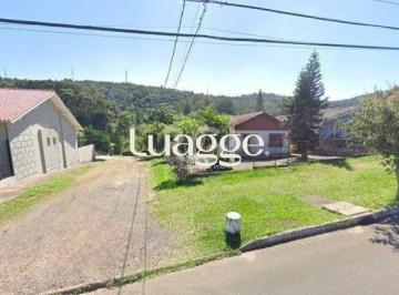 Terreno · 40000m² · Area para Venda - 40000m², 0 dormitórios, Vila Nova