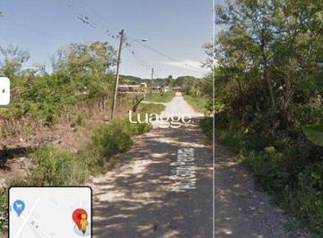 Terreno · 900m² · Terreno à venda - no Lageado