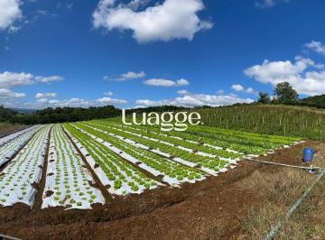 Rural · 200m² · Rurais à venda - em São José do Hortêncio