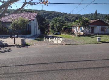 Terreno · 40000m² · Terreno à venda - na Vila Nova
