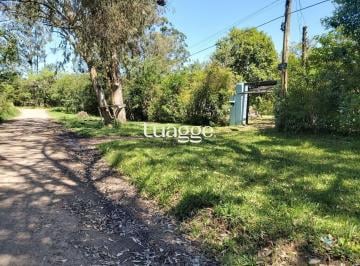 Casa · 100m² · 2 Quartos · Casa no bairro São Caetano - 2 dormitórios