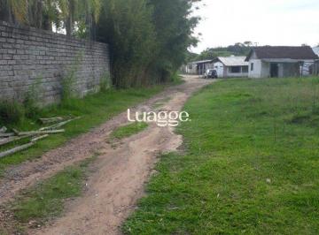 Terreno · 28000m² · Area para Venda - 0m², 0 dormitórios, Campo Novo