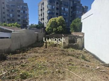 Terreno · 420m² · Ótimo terreno na Tristeza, com projeto aprovado para 3 casas em condomínio.