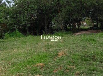 Terreno · 1000m² · Terreno 1.000m² no bairro Lageado em Porto Alegre