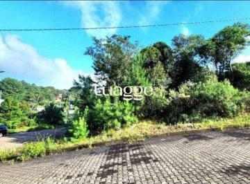 Terreno · 450m² · Terreno em Nova Petrópolis