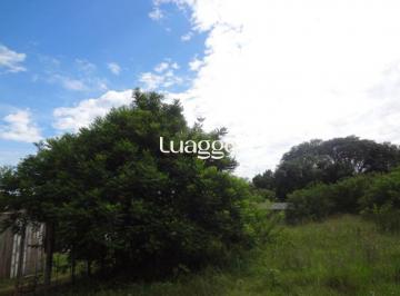 Terreno · 5080m² · Terreno para Venda - 0m², 0 dormitórios, Lami