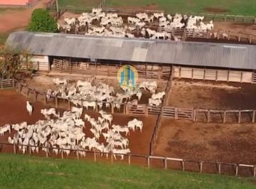 Rural · 4966m² · Fazenda de Alto Padrão à Venda em Santa Maria das Barreiras – PA