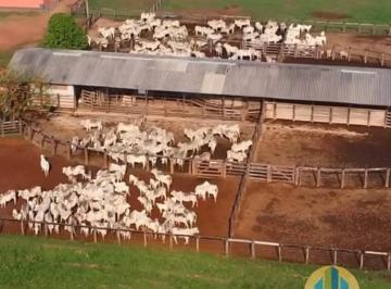 Rural · 4966m² · Fazenda de Alto Padrão à Venda em Santa Maria das Barreiras – PA