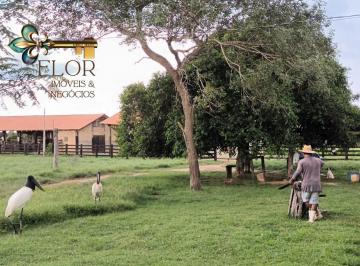 Rural · 7420m² · Fazenda à Venda em Poconé/MT – 7.420 Hectares às Margens do Rio Pixaim