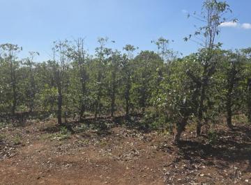 fazenda-sitios-chacaras-em-alfenas-mg-no-bairro-area-rural-de-alfenas-imovel437900-img6a49876bebd22.jpg · Fazenda / Sítios / Chácaras à venda em Alfenas, no bairro Área Rural De Alfenas