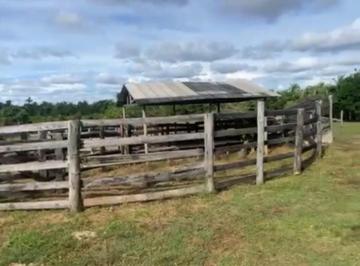 Rural · 51ha · 3 Quartos · 10 Vagas · Sítio à venda no bairro Bom Jardim - Nobres/MT; sitio em nobres mato grosso