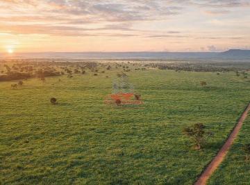 Vista aérea mostrando a excelente abertura e a divisão estratégica dos pastos. Uma propriedade planejada para otimizar a logística interna e o fluxo de manejo do rebanho. · Fazenda de Dupla Aptidão à Venda em Barra do Garças - MT