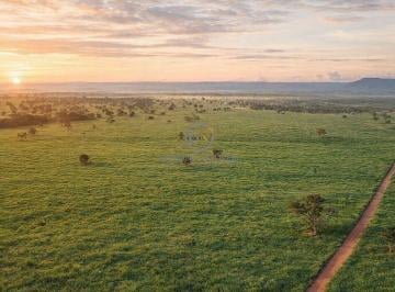 Vista aérea mostrando a excelente abertura e a divisão estratégica dos pastos. Uma propriedade planejada para otimizar a logística interna e o fluxo de manejo do rebanho. · Fazenda de Dupla Aptidão à Venda em Barra do Garças - MT