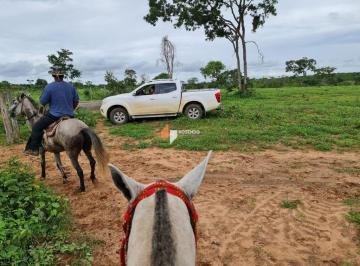 8k60zo2ytnln2vjzmu5mtez_md · Oportunidade Rural: 90 Hectares Formados por R$ 2 Milhões