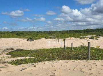 9836834121b230fbb1b2ec944c41209c8cb55588 · Área de praia em Itacaré